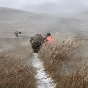 Meet your Posher, Beau